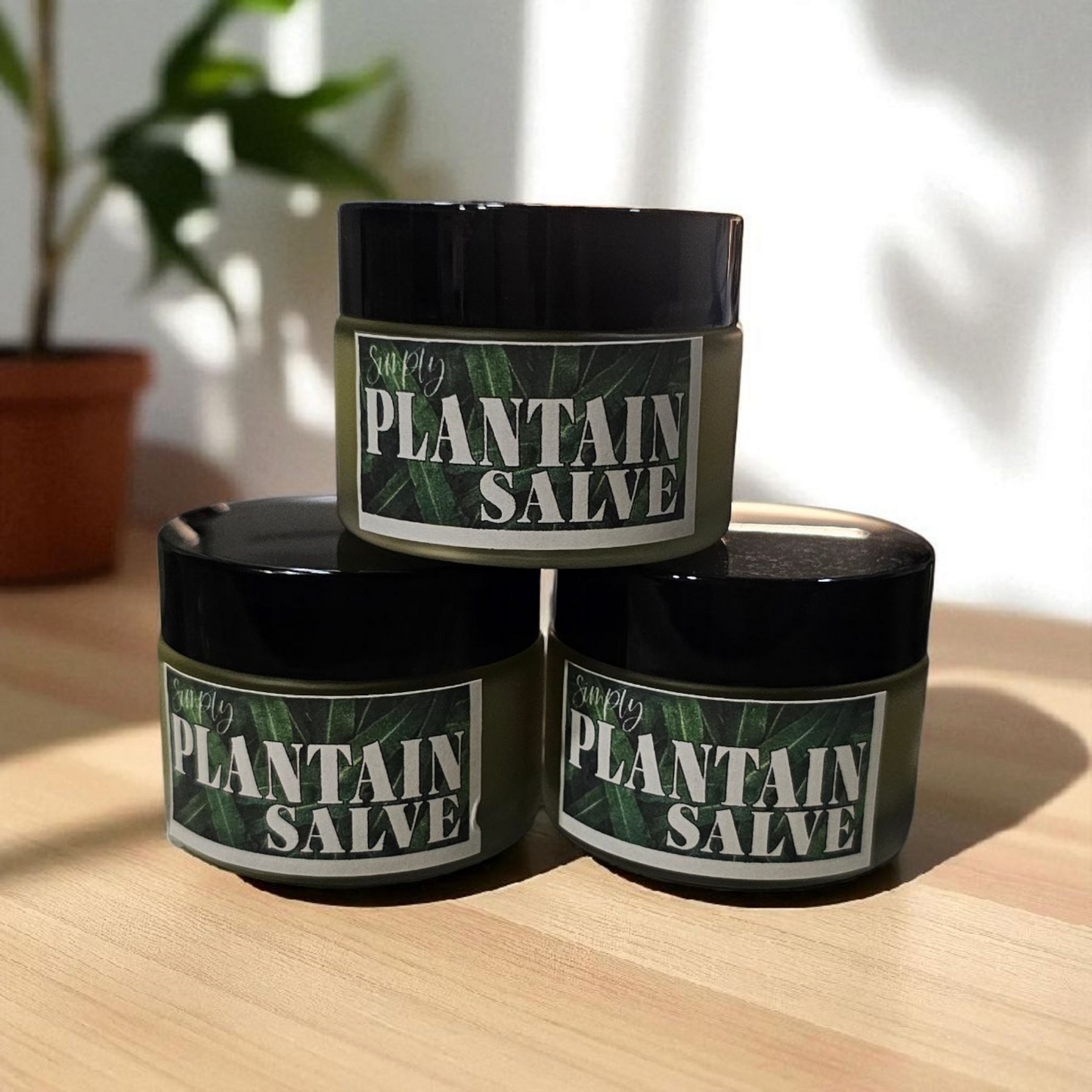 Plantain Salve (2oz frosted glass jar) / Baume de Plantain (pot en verre givré 2 oz)