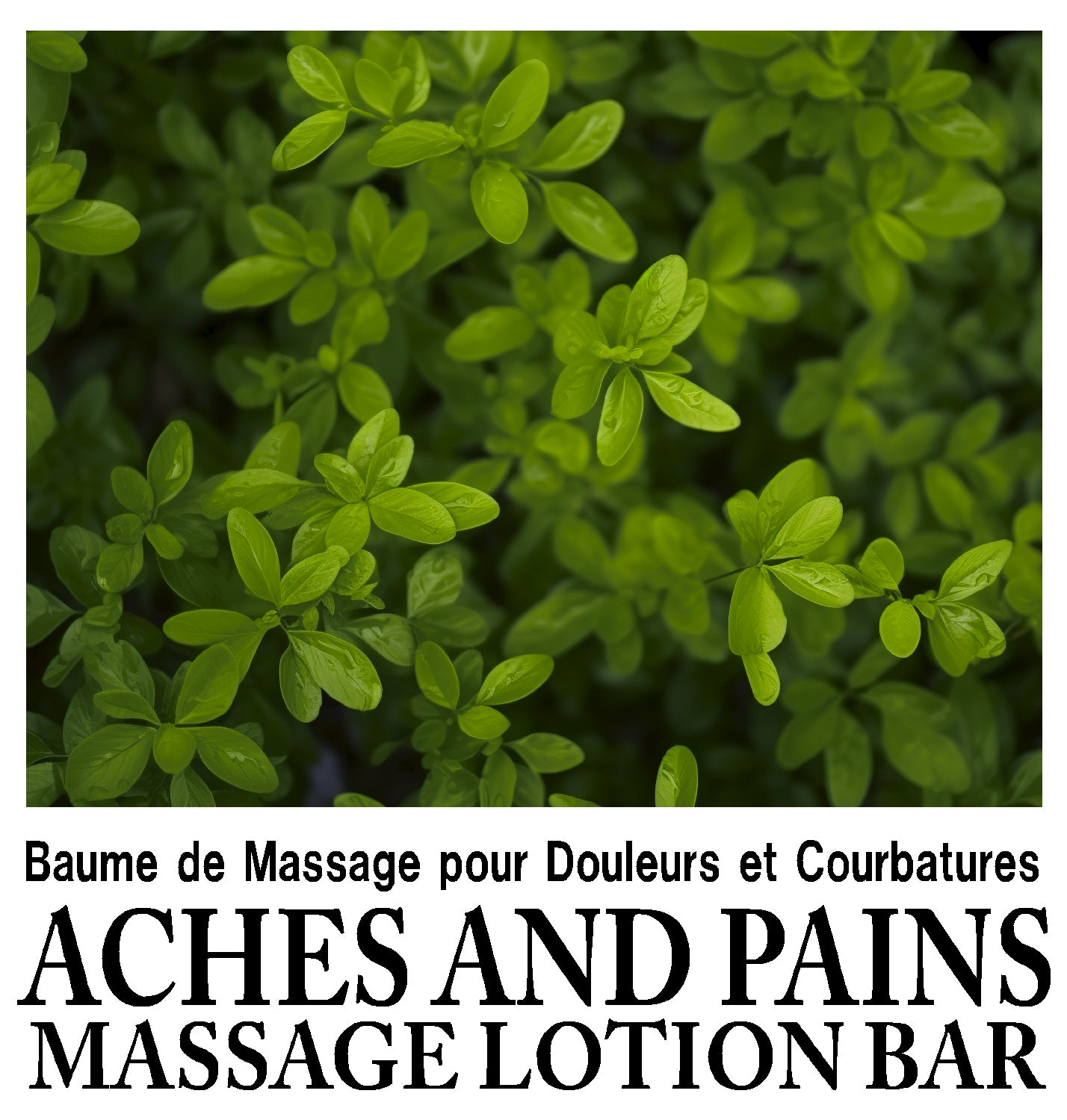 Aches and Pains Massage Lotion Bar / Douleurs & Courbatures – Barre de Massage Hydratante