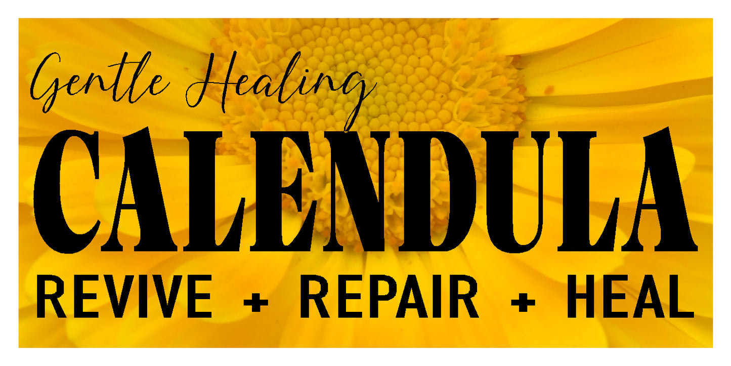 Calendula Healing Salve (4oz) / Baume réparateur au calendula (120 ml)