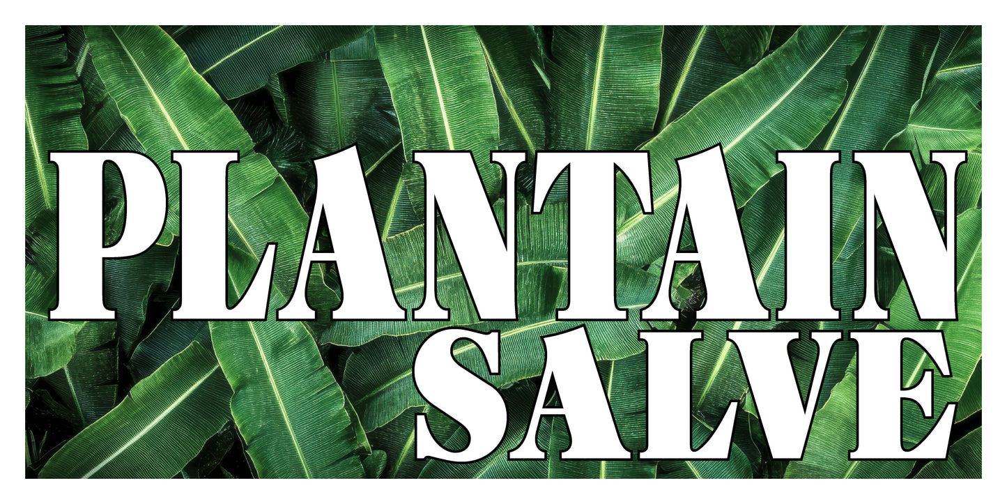 Plantain Salve (2oz frosted glass jar) / Baume de Plantain (pot en verre givré 2 oz)