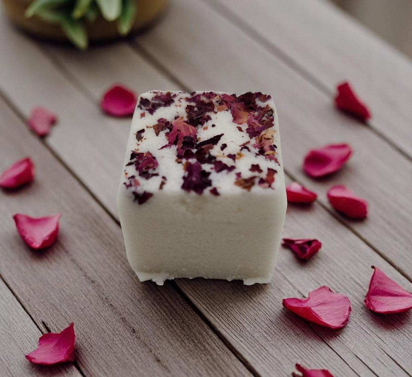 Eucalyptus Bath Truffles (12 Pack) / Truffes de Bain à l’Eucalyptus (paquet de 12)