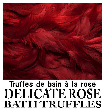Bath Truffles (12 Pack) / Truffes de Bain (Boîte de 12)