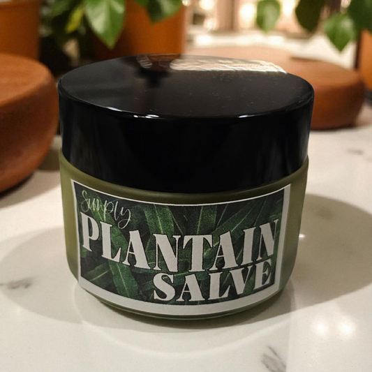 Plantain Salve (2oz frosted glass jar) / Baume de Plantain (pot en verre givré 2 oz)