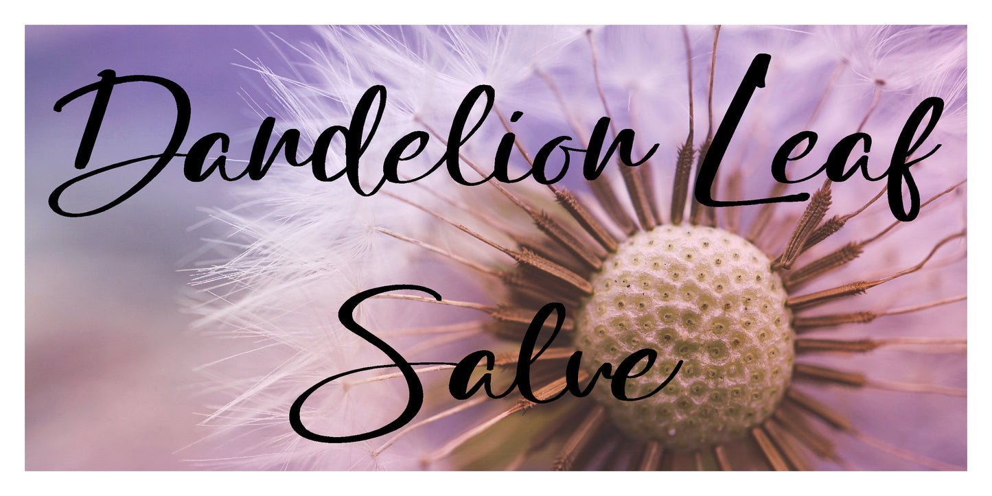 Dandelion Salves / Baumes au Pissenlit