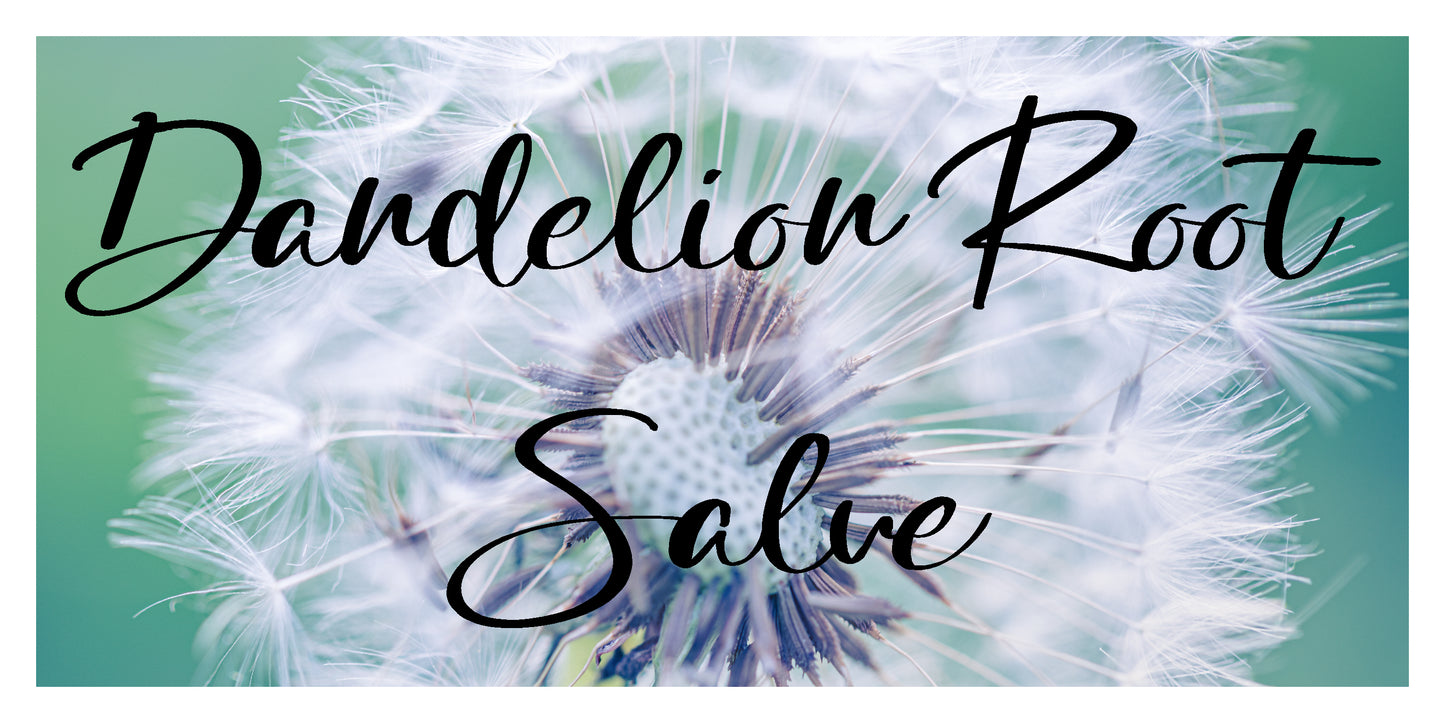 Dandelion Root Salve 2oz / Baume à la Racine de Pissenlit – 2oz