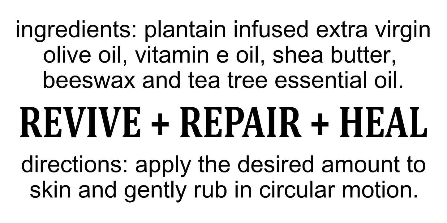 Plantain Salve (2oz frosted glass jar) / Baume de Plantain (pot en verre givré 2 oz)