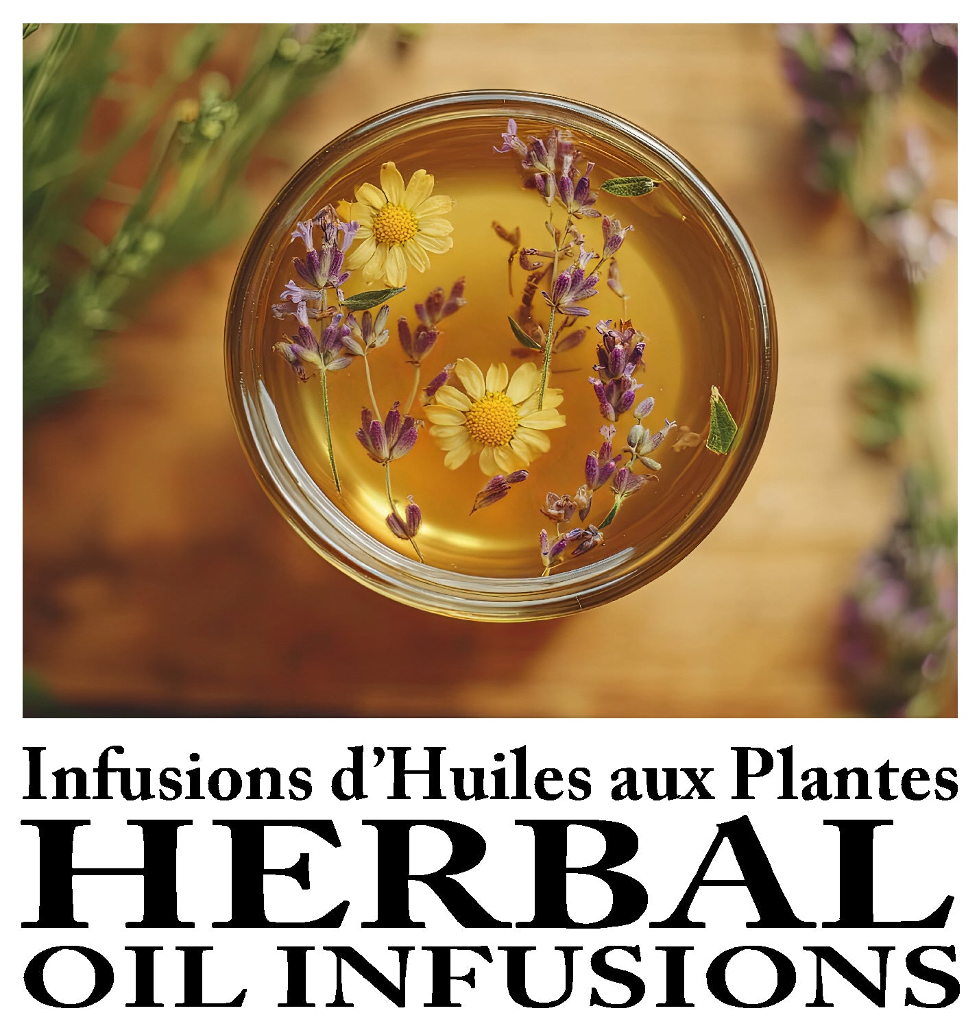 Herbal Oil Infusions / Infusions d’Huiles aux Plantes